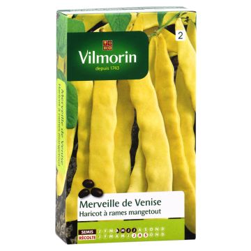 Pole Bean Marvel of Venice - Vilmorin Seeds