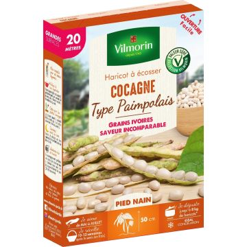 Bush Dry Bean Cocagne - Vilmorin Seeds