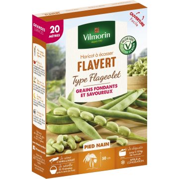 Bush Dry Bean Flageolet Flavert - Vilmorin Seeds