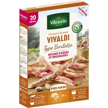 Bush Shell Bean Vivaldi - Vilmorin Seeds