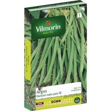 Dwarf Filet Bean Argus - Vilmorin Seeds