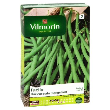 Haricot nain mangetout Facila - Vilmorin
