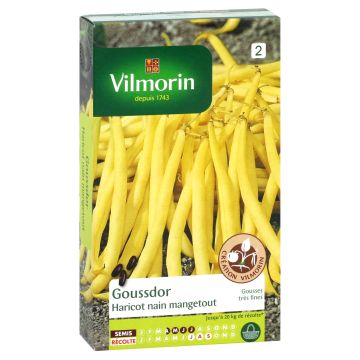 Dwarf French Bean Goussdor - Vilmorin Seeds