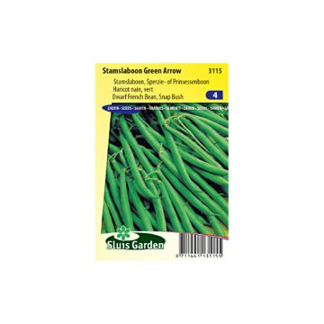 Dwarf French Bean Green Arrow
