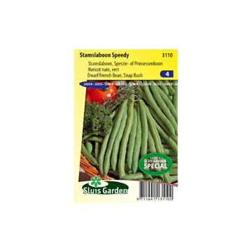 Dwarf snap bean Speedy - Phaseolus vulgaris