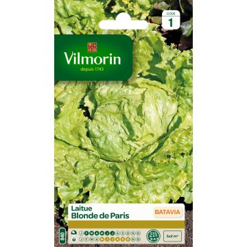 Lettuce Batavia Blonde de Paris - Vilmorin seeds