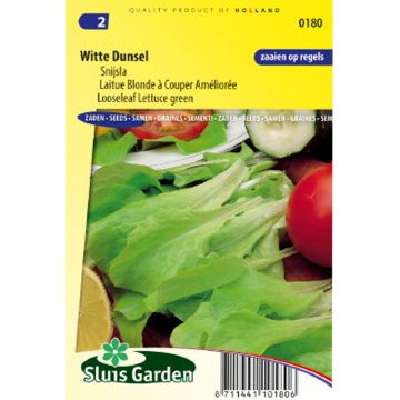 Loose leaf Lettuce Green Improved - Lactuca sativa