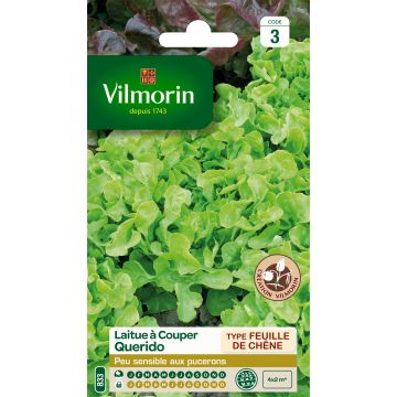 Loose leaf Lettuce Querido - Vilmorin seeds creation