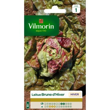 Winter Lettuce Brune dHiver - Vilmorin seeds