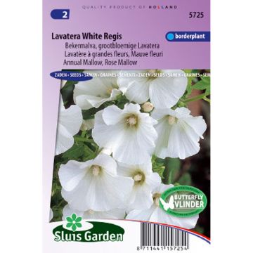 Lavatera trimestris White Regis - Annual Mallow Seeds