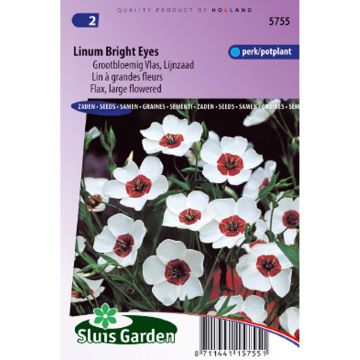 Linum grandiflorum Bright Eyes - Annual Flowering Flax Seeds