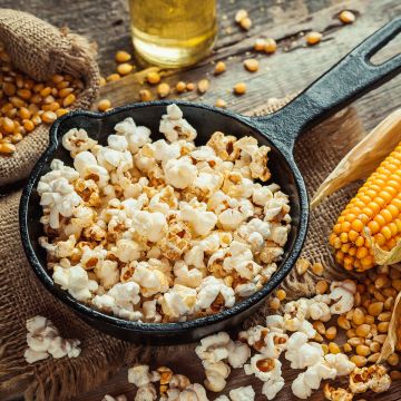 Zea mays Plomyk - Popcorn