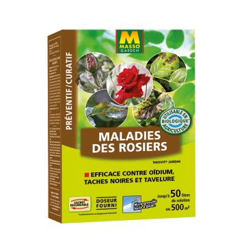Diseases of Roses with UAB Masso Garden Sulphur