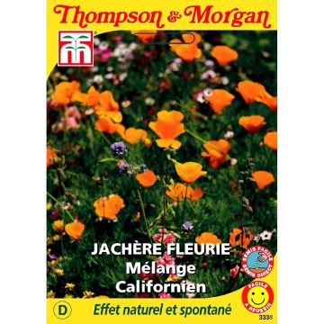 Wildflower Seeds - Californian Mix