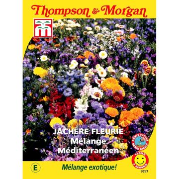 Wildflowers - Mediterranean Mix - seeds