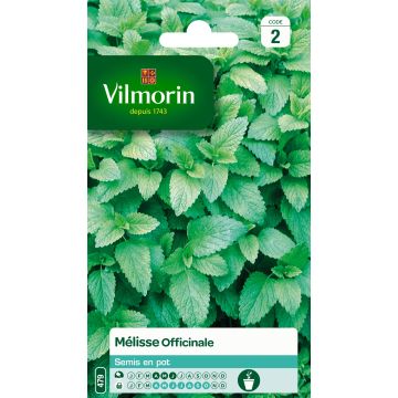 Melissa officinalis - Vilmorin Seeds
