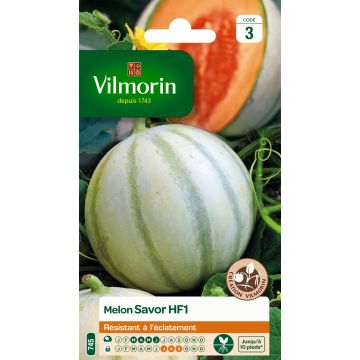 Melon Savor HF1 (Création Vilmorin) - Vilmorin