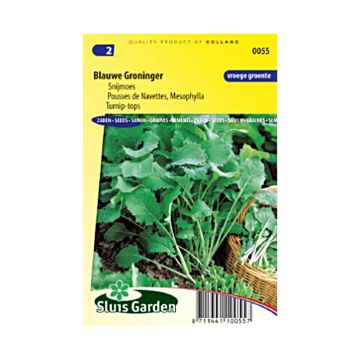 Turnip Blauwe Groninger - Brassica rapa
