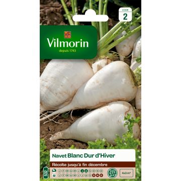 Turnip Blanc Dur dHiver - Vilmorin Seeds
