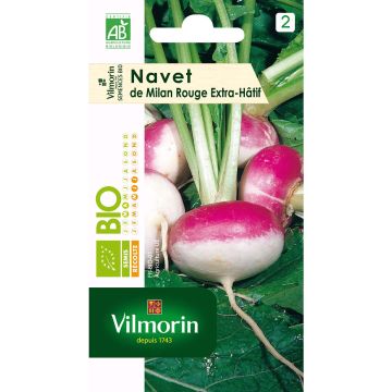 Organic Turnip Milan Rouge Extra Early - Vilmorin seeds - Brassica rapa