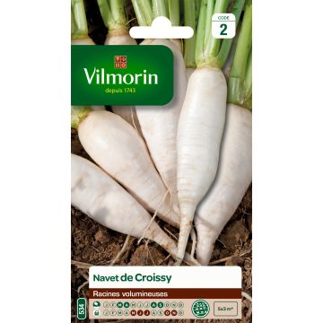 Turnip De Croissy - Vilmorin Seeds