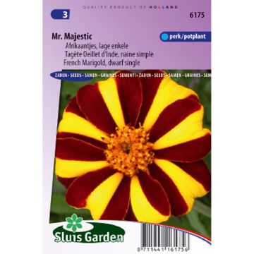 French Marigold Mr Majestic Seeds - Tagetes patula