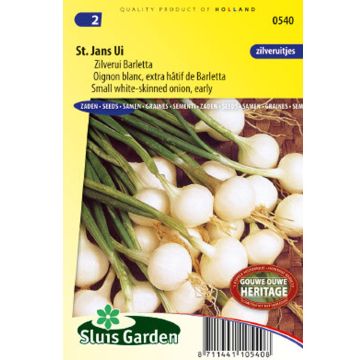 White Onion Barletta