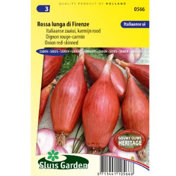 Long Red Florence Onion - Allium cepa