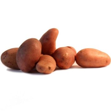 Organic Potatoes Jeannette