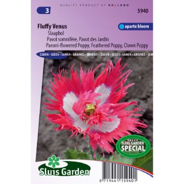 Papaver somniferum Fluffy Venus