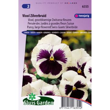 Viola Silverbride - Swiss Garden Pansy Seeds