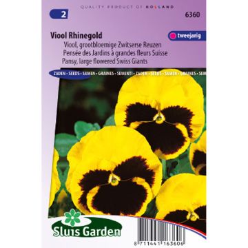 Viola Rhinegold   Swiss Garden Pansy Seeds