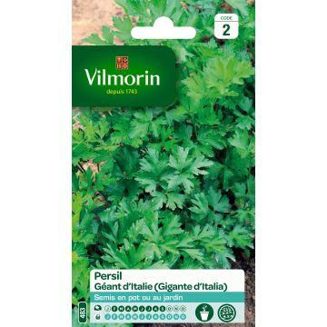 Parsley Giant of Italy - Vilmorin Seeds