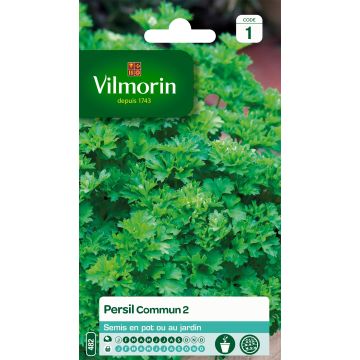 Parsley Italian Flat-Leaf 2 - Vilmorin Seeds