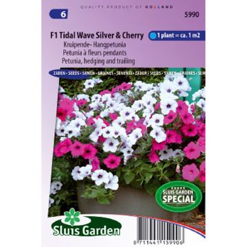 Petunia hedging and trailing F1 Tidal Wave Silver & Cherry Red Seeds