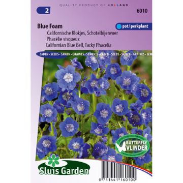 Californian Blue Bell Blue Foam Seeds - Phacelia viscida compacta