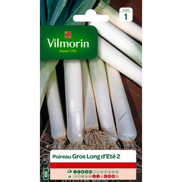 Leek Gros Long dEté 2 - Vilmorin Seeds