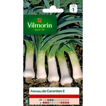 Leek Carentan 2 - Vilmorin Seeds