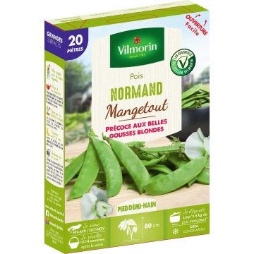 Mangetout Pea Normand - Vilmorin Seeds