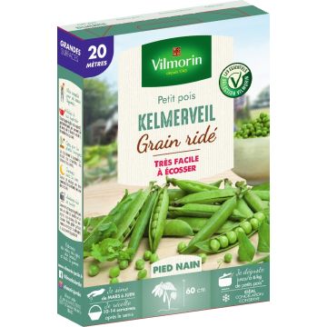 Dwarf Pea Kelmerveil - Vilmorin Seeds