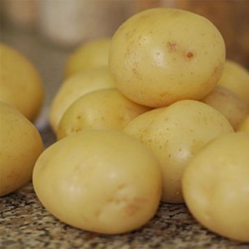 Potatoes Tresor