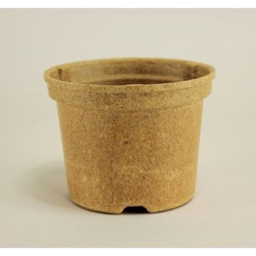 Round Biodegradable Napac Pot Ø10.5 cm (4in) - sold in packs of 5