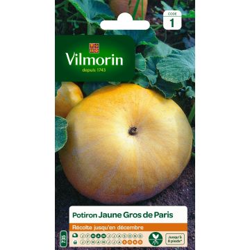 Pumpkin Yellow Paris - Vilmorin Seeds