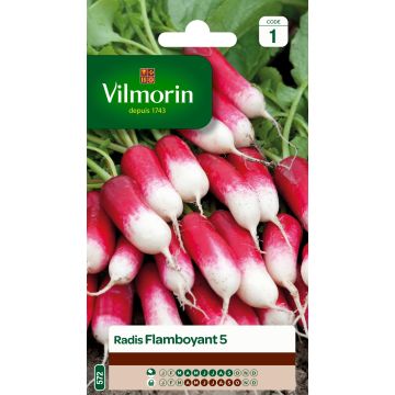 Radish Flamboyant 5 - Vilmorin Seeds
