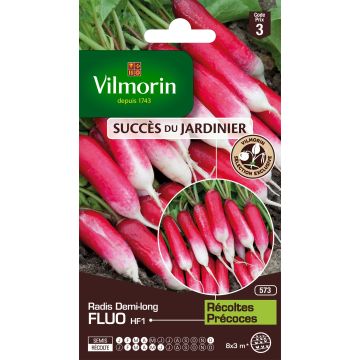 Radish Fluo F1 - Vilmorin Seeds