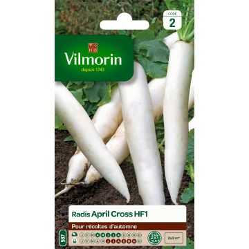 Daikon Radish April Cross F1 - Vilmorin Seeds