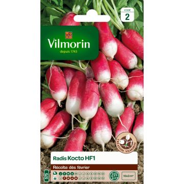 Radish Kocto F1 - Vilmorin Seeds