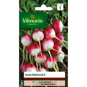 Radish National 2 - Vilmorin Seeds