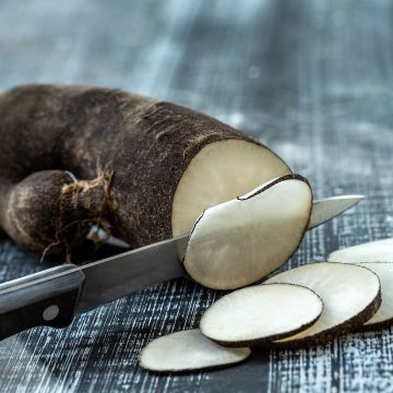 Rave Noir Gros long d'hiver de Paris Radish