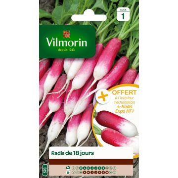 Radish De 18 jours + Sample Expo F1 - Vilmorin Seeds